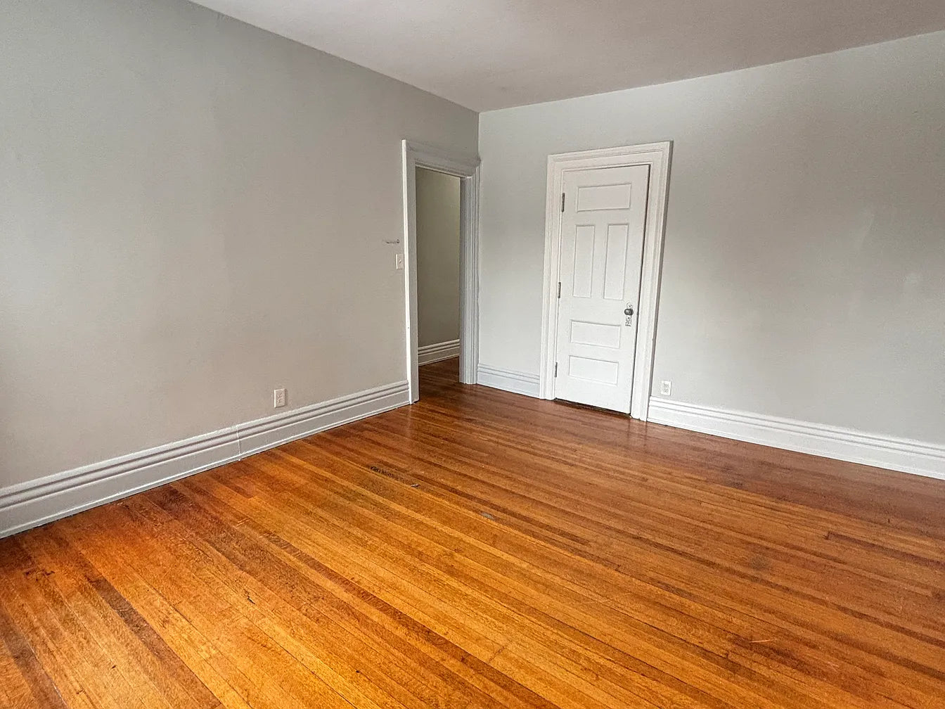 554 Linwood Ave APT 4, Buffalo, NY 14209
