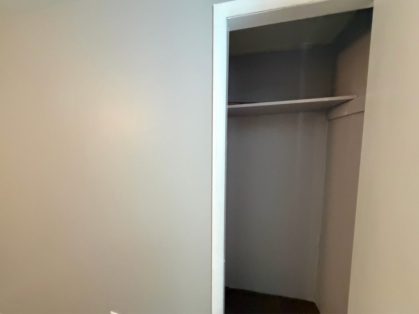 3 bed 1 bath - 311 Herkimer Street - 1 Buffalo, NY 14213