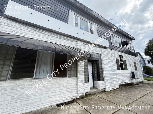 2 bed 1 bath - 289 Austin St, # 1, Buffalo, NY 14207