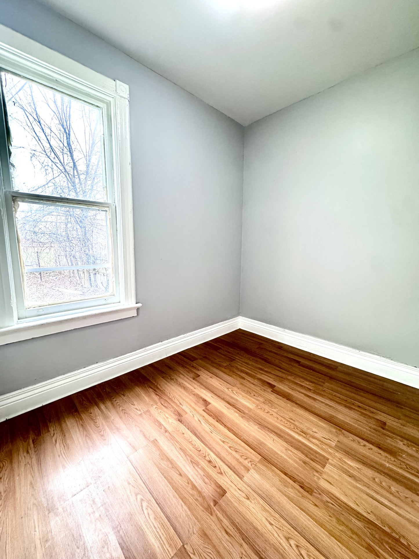 3 bed 1 bath - 339 Hampshire Street - 1 Buffalo, NY 14213