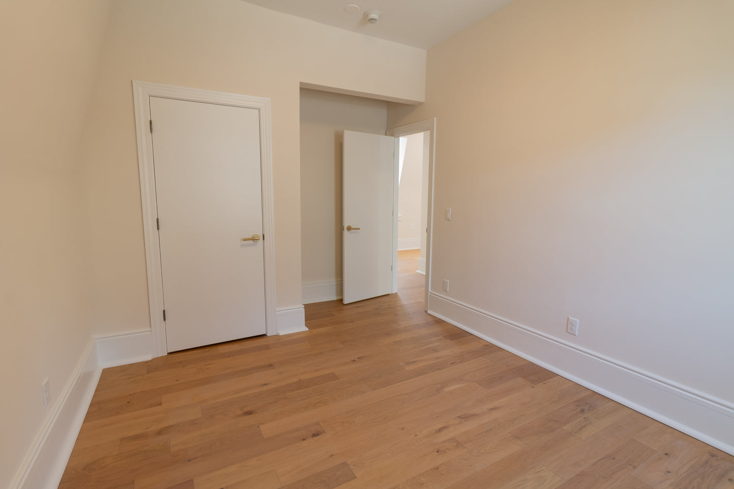 3 bed 2 bath - 17 North Pearl Street - 3 Buffalo, NY 1420