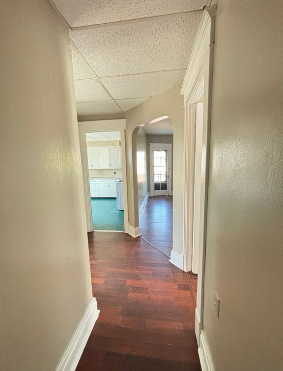 2 bed, 1 Bath- 1558 Elmwood Ave #5, Buffalo, NY 14207