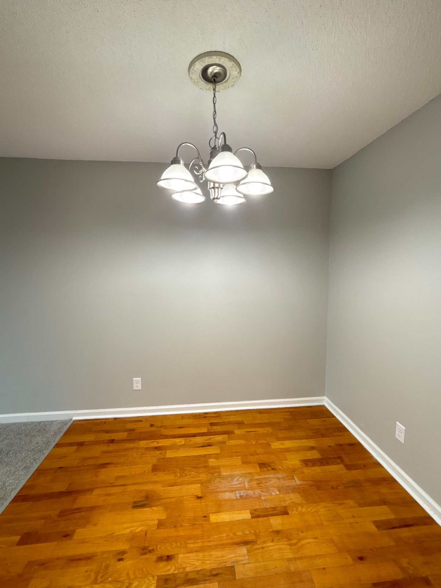 2 Bed, 1 Bath- 11 Robert Dr APT #205, Lancaster, NY 14086