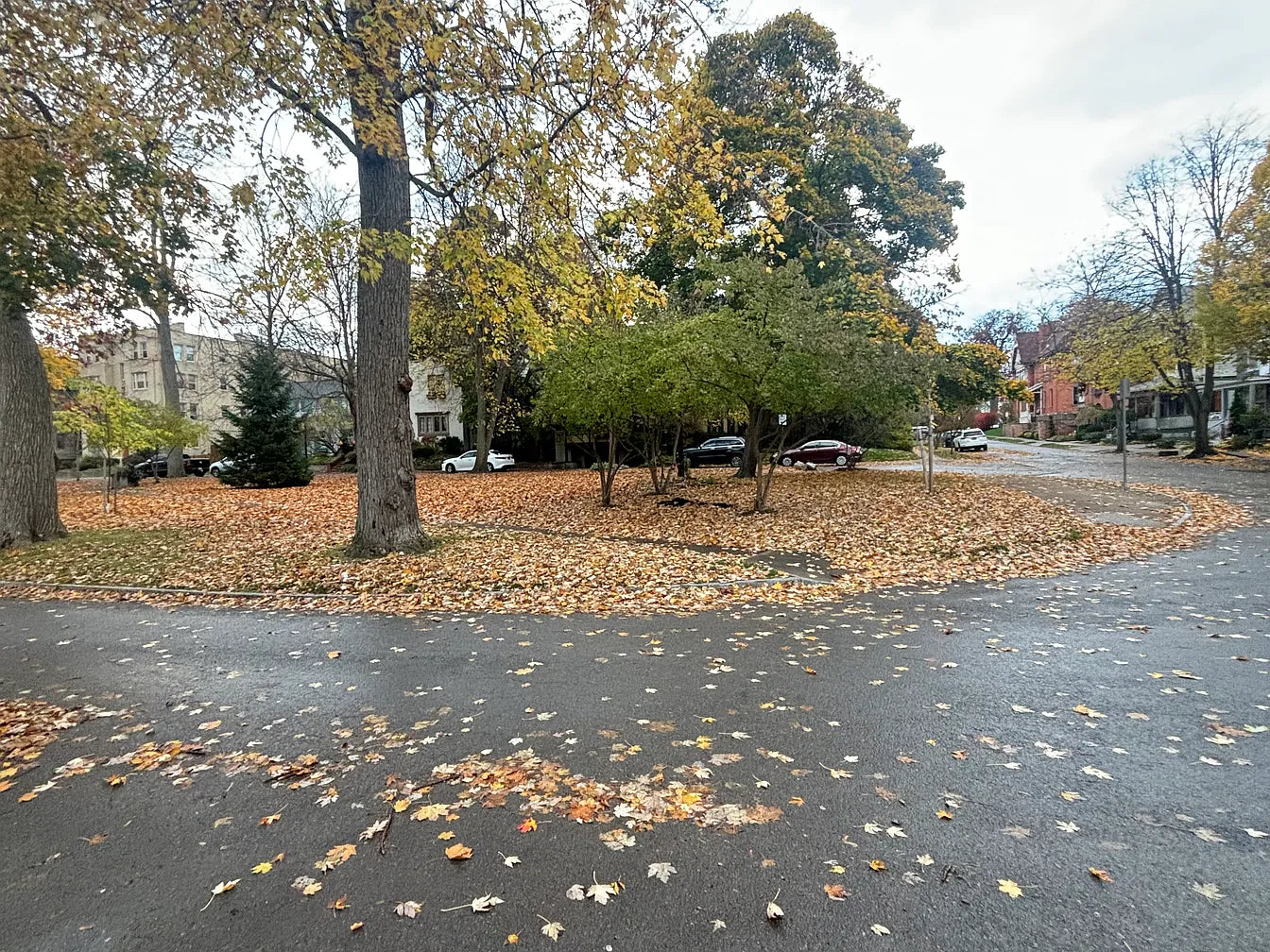 Studio, 1 Bath- 2 Arlington Pl, Buffalo, NY 14201